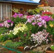 Progettazione di aiuole in campagna: regole di base e idee per creare un giardino fiorito Un piccolo giardino fiorito davanti alla casa