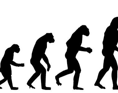 Teoria moderna dell'evoluzione